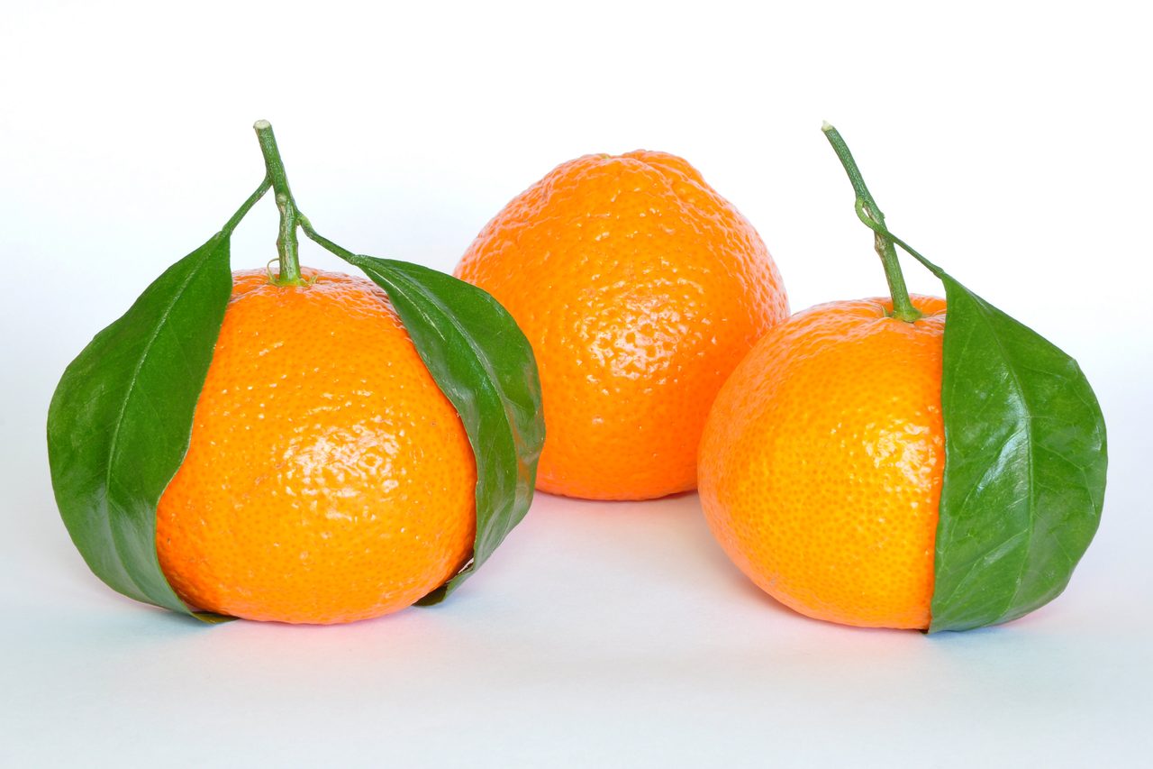 Mandalina