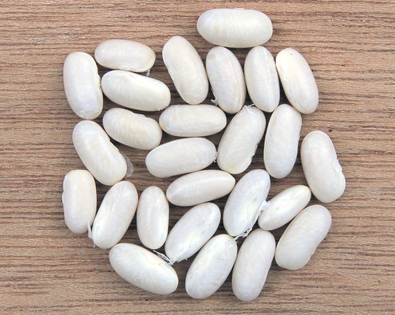 Kuru Fasulye